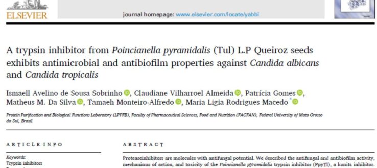 LPPFB avança no desenvolvimento de agente antifúngico seguro e eficaz contra biofilmes resistentes
