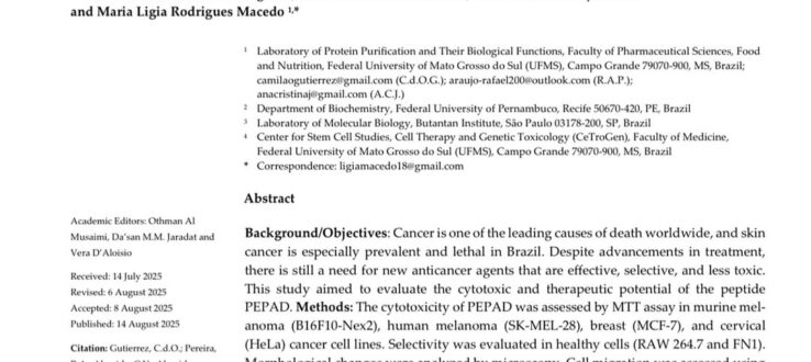 Pesquisadores da UFMS identificam peptídeo promissor no combate ao melanoma