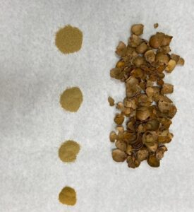 Cascas de bocaiúva e quatro amostras do material processado com diferentes tamanhos de partículas.