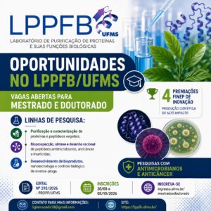 Imagem de divulgação do edital
