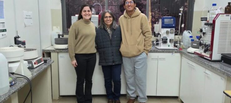 AcroNano: nanotecnologia bioinspirada no Cerrado para o combate à mastite bovina
