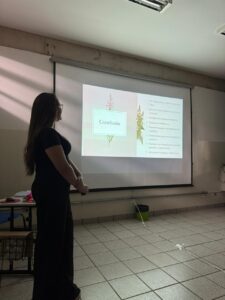 Ana Paula Ramos Pereira apresenta as conclusões de sua tese de doutorado sobre o peptídeo bioinspirado KI17.