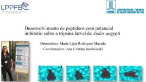 Arte da defesa de dissertação de Rafael Araujo Pereira sobre peptídeos inibidores da tripsina larval de Aedes aegypti, com fotografia do pesquisador e modelos moleculares.