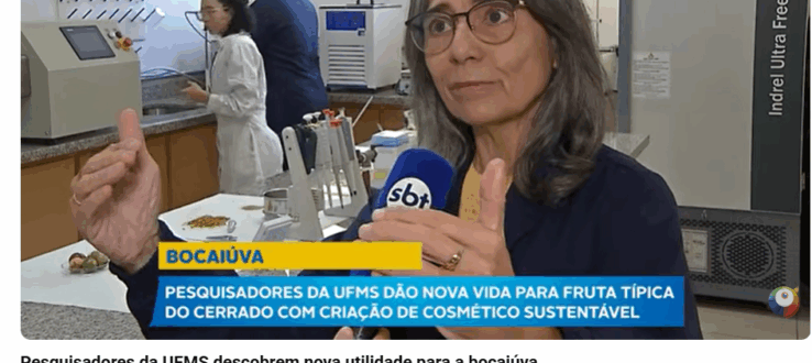 Pesquisa da UFMS amplia possibilidades de aproveitamento da bocaiúva para o desenvolvimento de cosméticos sustentáveis
